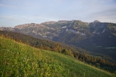 blick_zum_gottesackerplateaucalex_kaiser_bregenzerwald_tourismus44.jpg